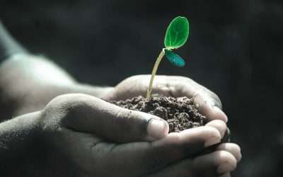 If It Becomes Easy, You Quit Growing!