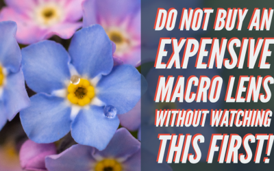 New To Macro Photography? Don’t Buy a Macro Lens Without Watching First!