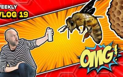 Changing Up The Stream, Celebrating Birthdays, and Killing Bees! Weekly Vlog 19